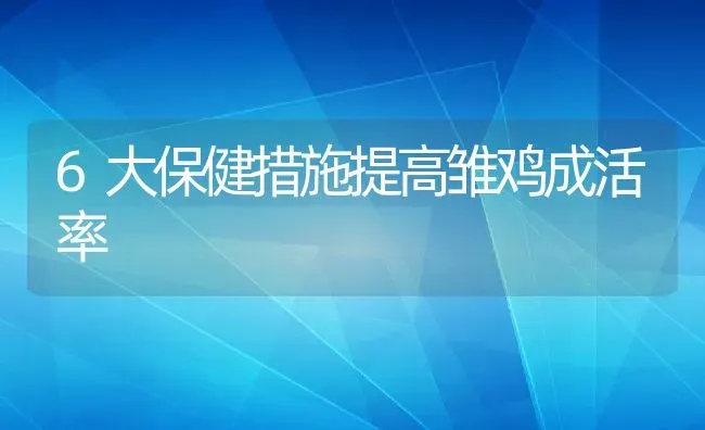 6大保健措施提高雏鸡成活率 | 动物养殖百科