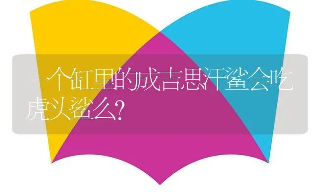 一个缸里的成吉思汗鲨会吃虎头鲨么？ | 鱼类宠物饲养