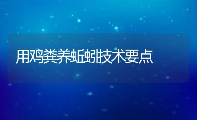 用鸡粪养蚯蚓技术要点 | 水产养殖知识