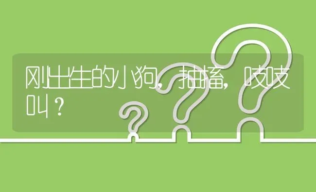 刚出生的小狗，抽搐，吱吱叫？ | 动物养殖问答