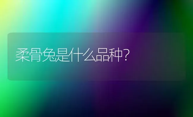 柔骨兔是什么品种？ | 动物养殖问答