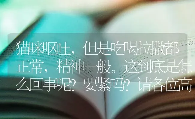 猫咪呕吐，但是吃喝拉撒都正常，精神一般。这到底是怎么回事呢？要紧吗？请各位高手指教？ | 动物养殖问答