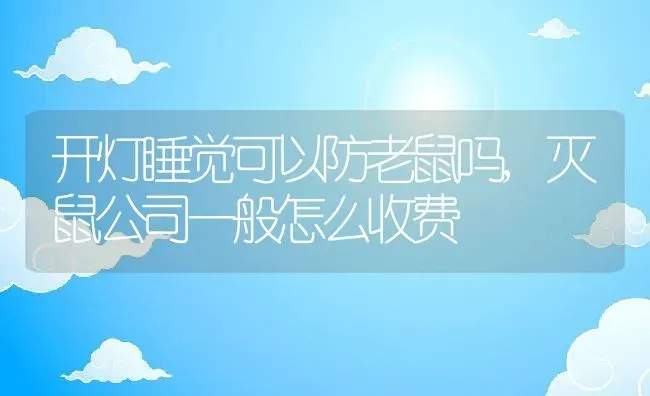 开灯睡觉可以防老鼠吗,灭鼠公司一般怎么收费 | 宠物百科知识