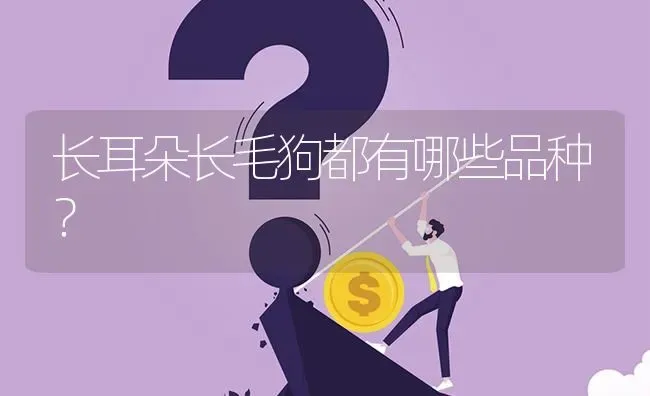 长耳朵长毛狗都有哪些品种？ | 动物养殖问答