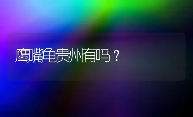 鹰嘴龟贵州有吗？ | 动物养殖问答