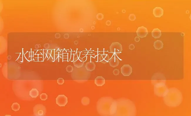 水蛭网箱放养技术 | 动物养殖百科