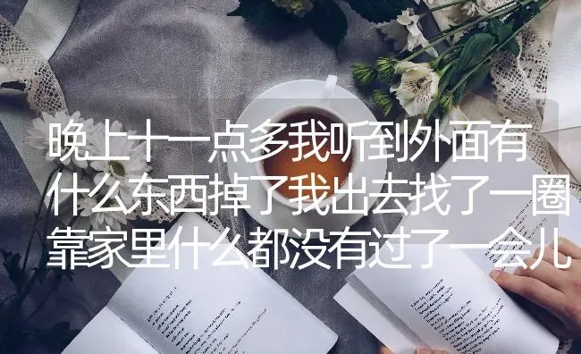 晚上十一点多我听到外面有什么东西掉了我出去找了一圈靠家里什么都没有过了一会儿就听到门口有猫叫？ | 动物养殖问答