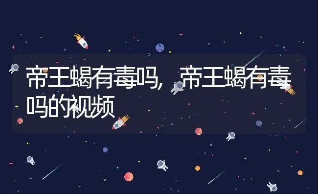 帝王蝎有毒吗,帝王蝎有毒吗的视频 | 宠物百科知识