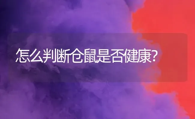 怎么判断仓鼠是否健康？ | 动物养殖问答