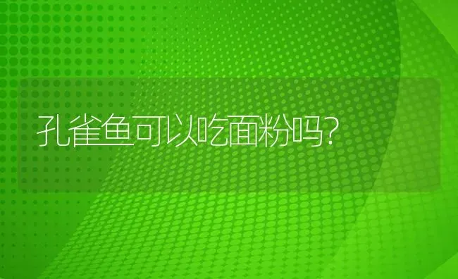 孔雀鱼可以吃面粉吗？ | 鱼类宠物饲养