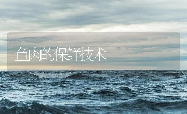 鱼肉的保鲜技术 | 海水养殖技术