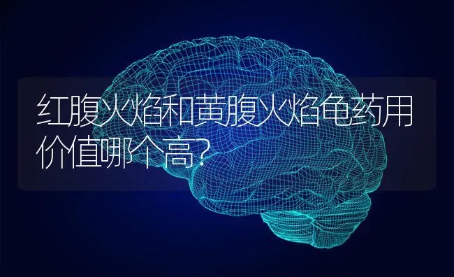 红腹火焰和黄腹火焰龟药用价值哪个高？ | 动物养殖问答