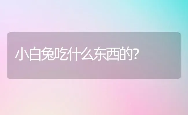 小白兔吃什么东西的？ | 动物养殖问答