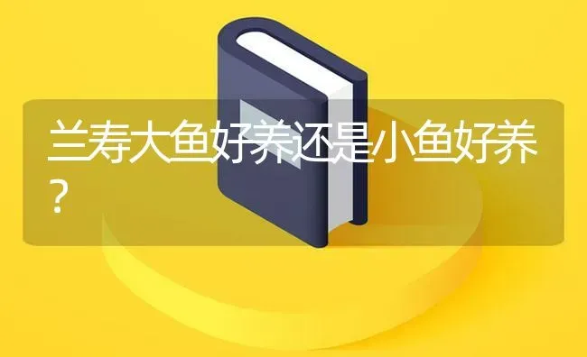 兰寿大鱼好养还是小鱼好养？ | 鱼类宠物饲养