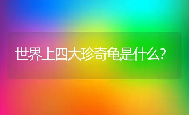 我国最常见的龟是？ | 动物养殖问答