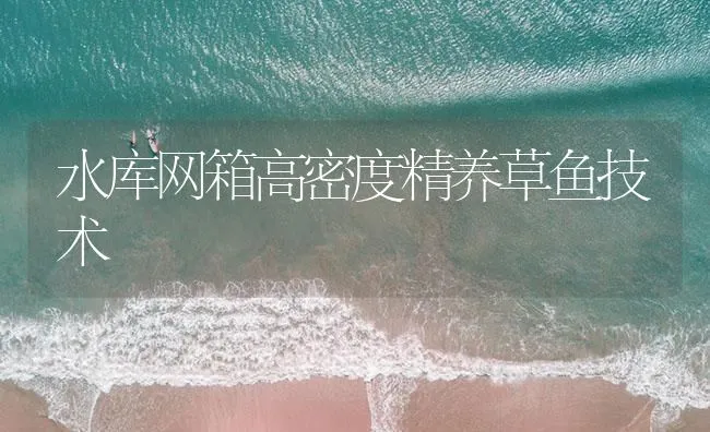 水库网箱高密度精养草鱼技术 | 海水养殖技术