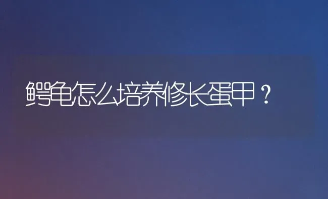 鳄龟怎么培养修长蛋甲？ | 动物养殖问答