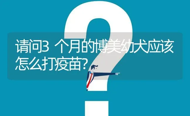 金毛六七月份掉毛正常吗？ | 动物养殖问答