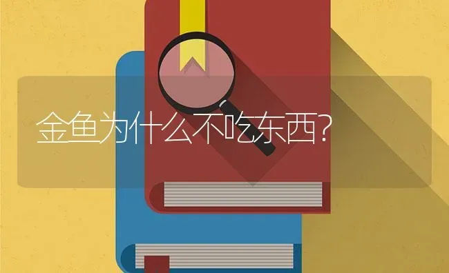 金鱼为什么不吃东西？ | 鱼类宠物饲养