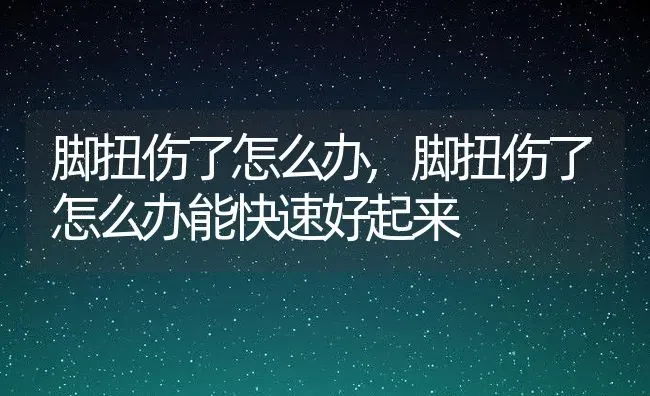 跳蚤怕什么东西,跳蚤怕什么东西或者味道 | 宠物百科知识