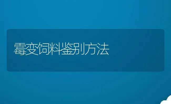 霉变饲料鉴别方法 | 动物养殖饲料