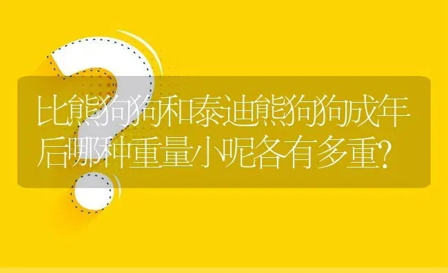 比熊狗狗和泰迪熊狗狗成年后哪种重量小呢各有多重？ | 动物养殖问答