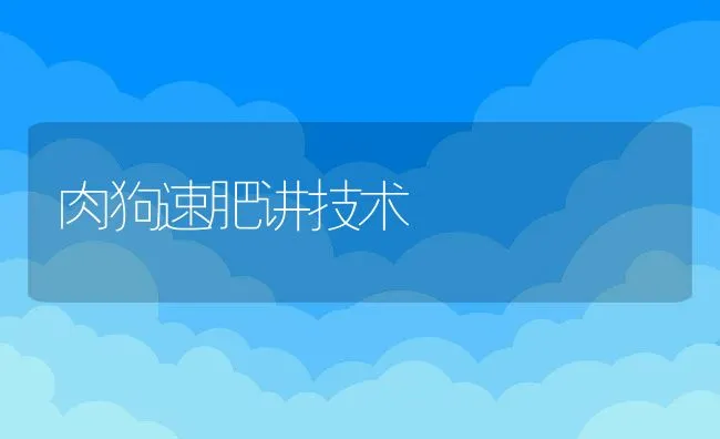 肉狗速肥讲技术 | 动物养殖饲料