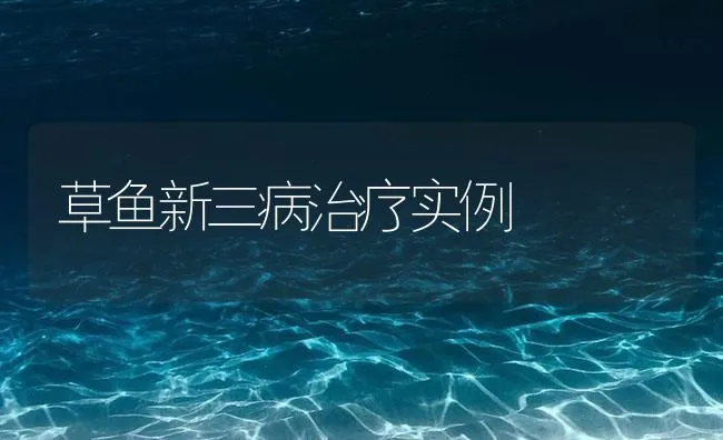 草鱼新三病治疗实例 | 海水养殖技术