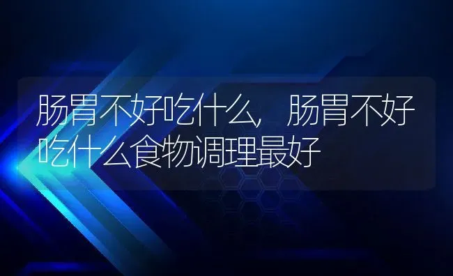 肠胃不好吃什么,肠胃不好吃什么食物调理最好 | 宠物百科知识