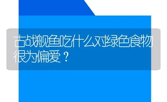 古战舰鱼吃什么对绿色食物很为偏爱？ | 鱼类宠物饲养