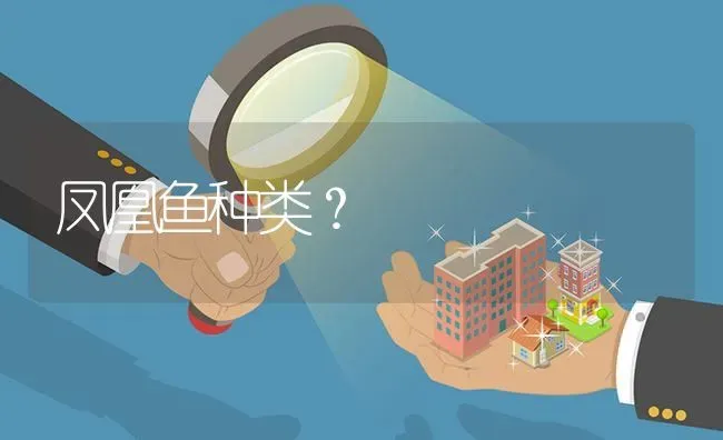 中国只有哪两种蝴蝶？ | 鱼类宠物饲养