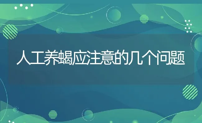 人工养蝎应注意的几个问题 | 动物养殖饲料