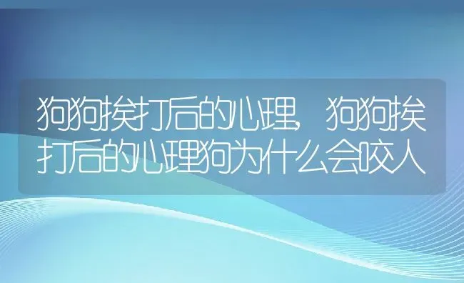 狗狗挨打后的心理,狗狗挨打后的心理狗为什么会咬人 | 宠物百科知识