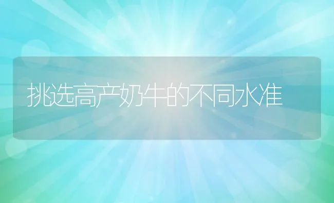 挑选高产奶牛的不同水准 | 动物养殖学堂