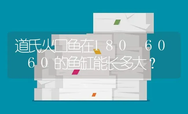 道氏火口鱼在180 60 60的鱼缸能长多大？ | 鱼类宠物饲养