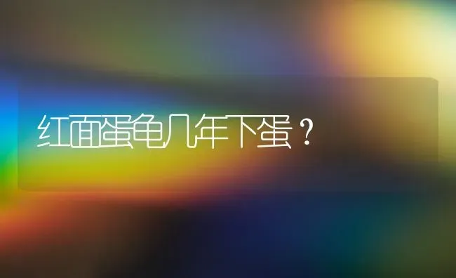 红面蛋龟几年下蛋？ | 动物养殖问答