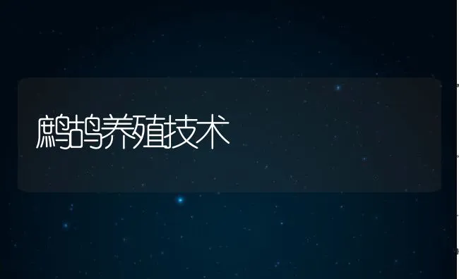 阉鸡饲养管理关键技术 | 动物养殖学堂