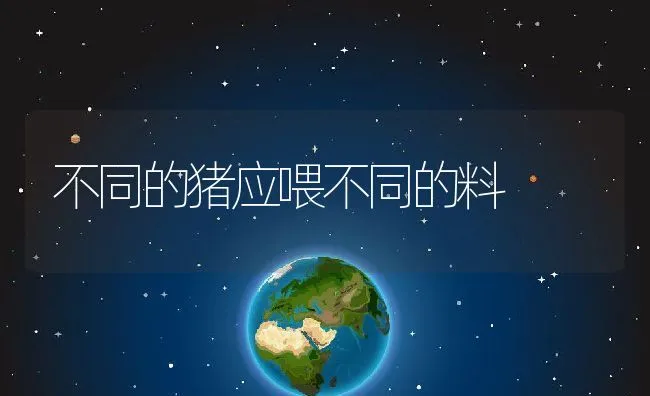 罗非鱼养殖之肥胖症防治技术 | 海水养殖技术