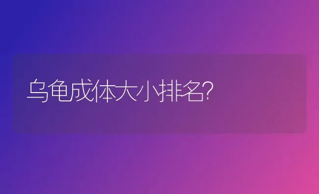 乌龟成体大小排名？ | 动物养殖问答