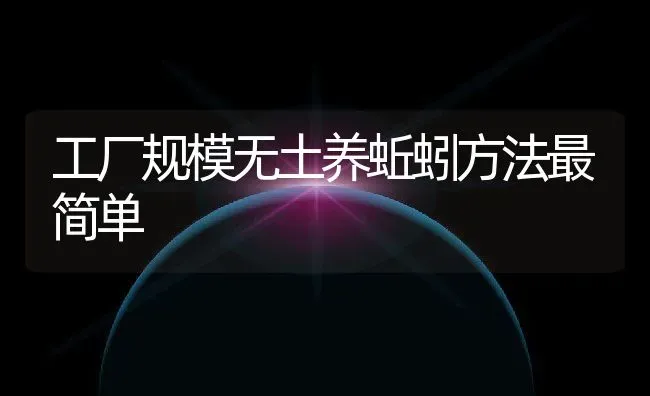 工厂规模无土养蚯蚓方法最简单 | 动物养殖百科