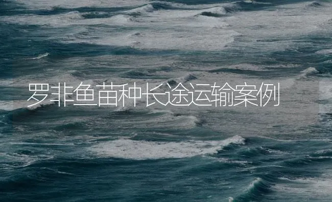 罗非鱼苗种长途运输案例 | 海水养殖技术