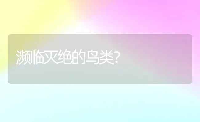 濒临灭绝的鸟类？ | 动物养殖问答