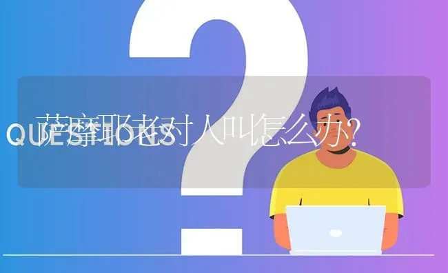 萨摩耶老对人叫怎么办？ | 动物养殖问答