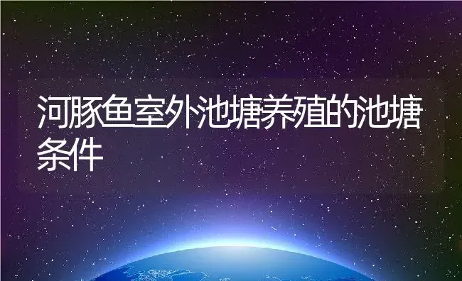 河豚鱼室外池塘养殖的池塘条件 | 动物养殖教程