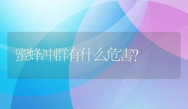 蜜蜂冲群有什么危害？ | 动物养殖百科