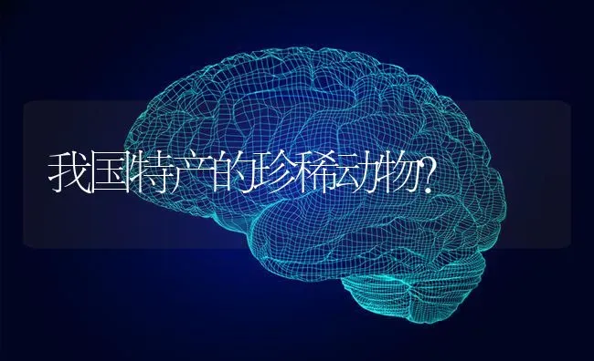 两只小猫能放一个笼子火车托运吗？ | 动物养殖问答