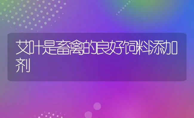 艾叶是畜禽的良好饲料添加剂 | 动物养殖饲料