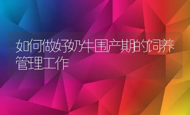 如何做好奶牛围产期的饲养管理工作 | 动物养殖饲料