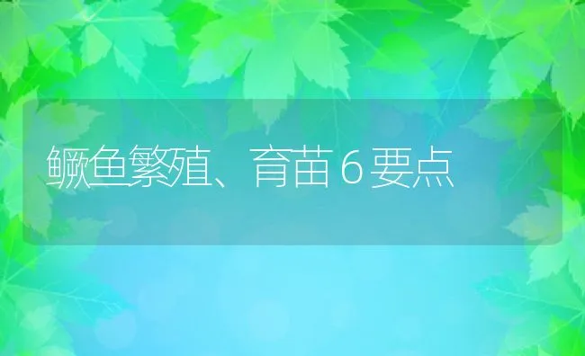 鳜鱼繁殖、育苗６要点 | 动物养殖饲料