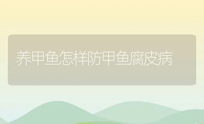 养甲鱼怎样防甲鱼腐皮病 | 水产养殖知识